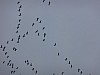 (c) c. tussing - bild 1.jpg